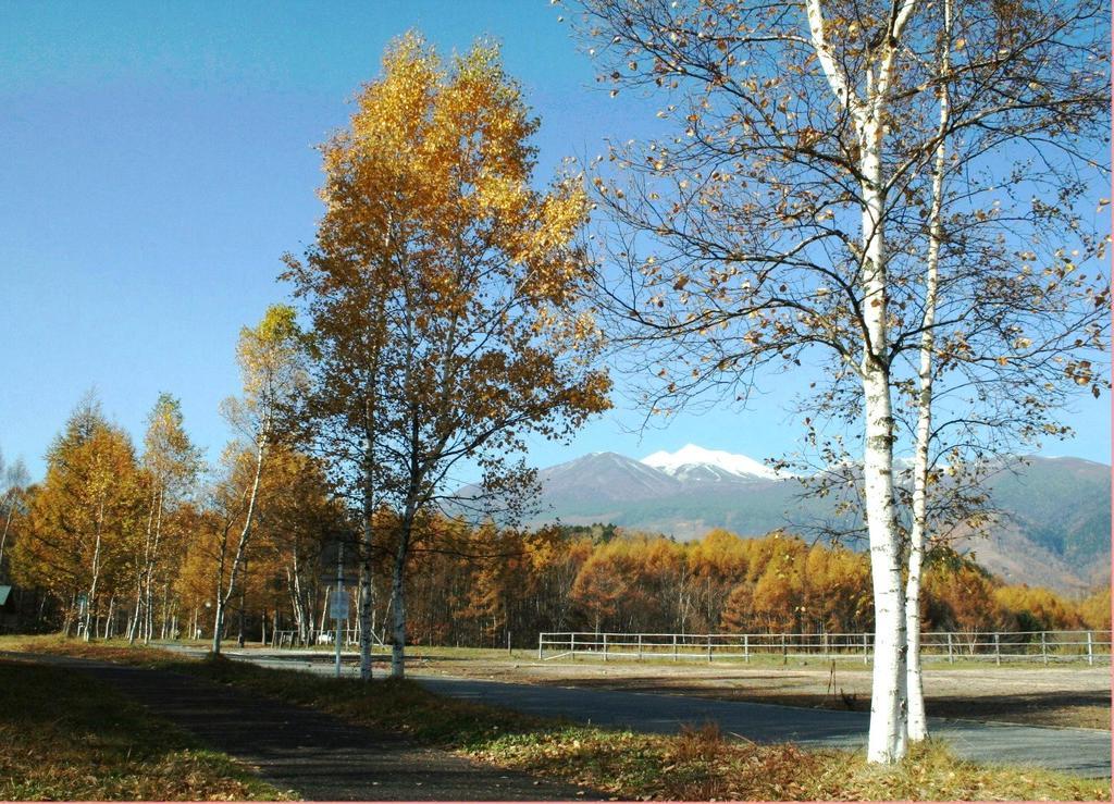 Alpine Inn Mizushiro Matsumoto Exterior foto